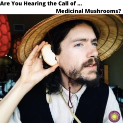 Light Cellar Medicinal Mushroom Symposium 2022: Discover The Healing Powers Of Fungi Online Courses 31 Light Cellar Medicinal Mushroom Symposium 2022: Discover The Healing Powers Of Fungi Online Courses