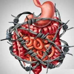 Light Cellar What’s Wrong With My Gut? The Hidden Truth Behind GI Upset And How To Feel Better