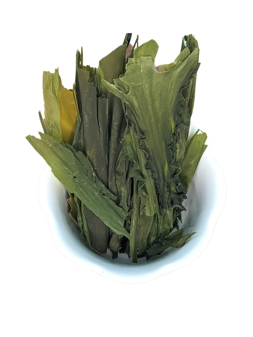 Light Cellar Bull Kelp Fronds All Superfoods 3 Light Cellar Bull Kelp Fronds All Superfoods
