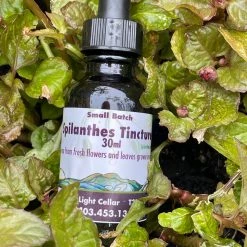 Light Cellar Spilanthes Tincture Tinctures
