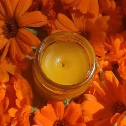 Light Cellar Live Classes & Events Create Your Own Herbal Salves To Nourish Your Hands & Skin - TBA