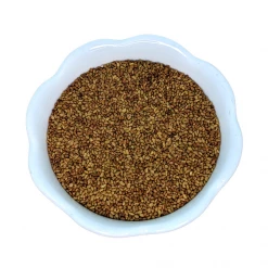 Light Cellar All Superfoods Alfalfa Sprouting Seed