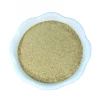 Light Cellar All Superfoods Aloe Vera Powder
