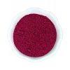 Light Cellar Freeze Dried Dragon Fruit