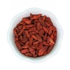 Light Cellar Goji Berries