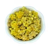 Light Cellar Helichrysum Flowers All Superfoods