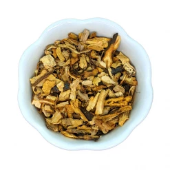 Light Cellar Wild Japanese Knotweed