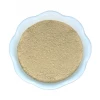 Light Cellar All Superfoods Oyster Mushroom Extract