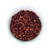 Light Cellar Purple Pomegranate Seeds