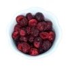 Light Cellar Freeze Dried Tart Cherries