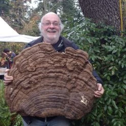 Light Cellar Medicinal Mushroom Symposium 2022: Discover The Healing Powers Of Fungi Online Courses 29 Light Cellar Medicinal Mushroom Symposium 2022: Discover The Healing Powers Of Fungi Online Courses