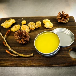 Light Cellar The Complete Herbal Medicine Making Workshop - July 24 Live Classes & Events