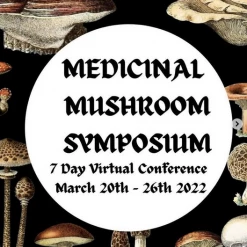 Light Cellar Medicinal Mushroom Symposium 2022: Discover The Healing Powers Of Fungi Online Courses