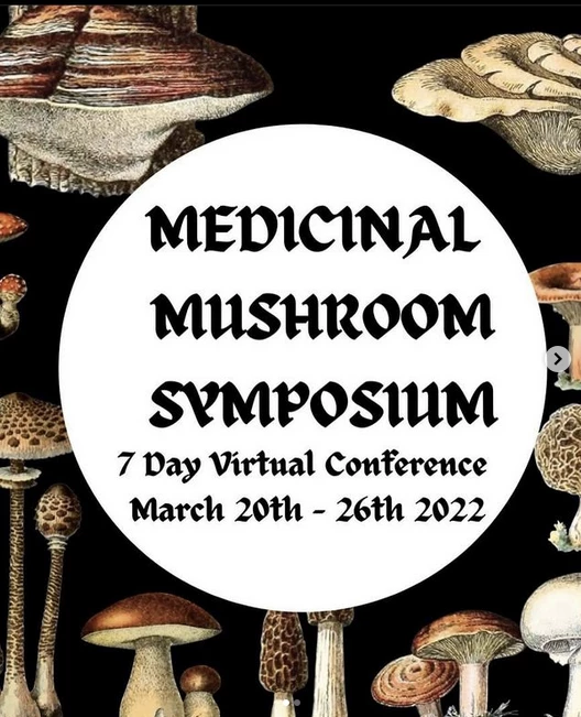 Light Cellar Medicinal Mushroom Symposium 2022: Discover The Healing Powers Of Fungi Online Courses 3 Light Cellar Medicinal Mushroom Symposium 2022: Discover The Healing Powers Of Fungi Online Courses