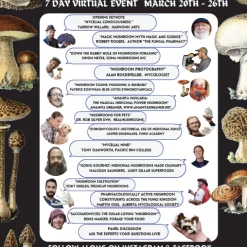 Light Cellar Medicinal Mushroom Symposium 2022: Discover The Healing Powers Of Fungi Online Courses 20 Light Cellar Medicinal Mushroom Symposium 2022: Discover The Healing Powers Of Fungi Online Courses