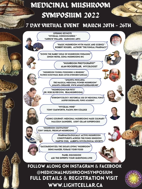 Light Cellar Medicinal Mushroom Symposium 2022: Discover The Healing Powers Of Fungi Online Courses 5 Light Cellar Medicinal Mushroom Symposium 2022: Discover The Healing Powers Of Fungi Online Courses