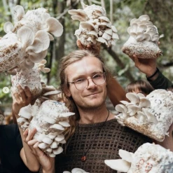 Light Cellar Medicinal Mushroom Symposium 2022: Discover The Healing Powers Of Fungi Online Courses 22 Light Cellar Medicinal Mushroom Symposium 2022: Discover The Healing Powers Of Fungi Online Courses