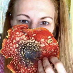 Light Cellar Medicinal Mushroom Symposium 2022: Discover The Healing Powers Of Fungi Online Courses 23 Light Cellar Medicinal Mushroom Symposium 2022: Discover The Healing Powers Of Fungi Online Courses