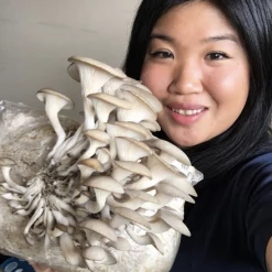 Light Cellar Medicinal Mushroom Symposium 2022: Discover The Healing Powers Of Fungi Online Courses 26 Light Cellar Medicinal Mushroom Symposium 2022: Discover The Healing Powers Of Fungi Online Courses