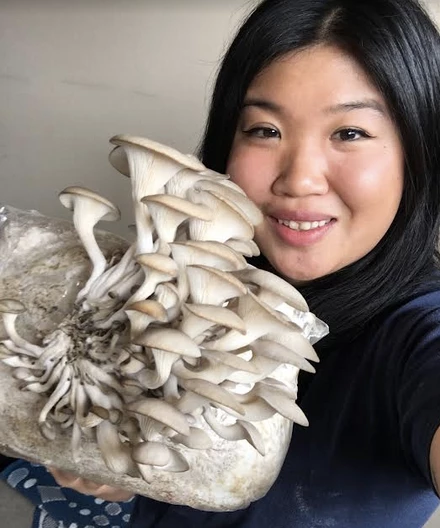 Light Cellar Medicinal Mushroom Symposium 2022: Discover The Healing Powers Of Fungi Online Courses 11 Light Cellar Medicinal Mushroom Symposium 2022: Discover The Healing Powers Of Fungi Online Courses