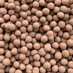 Light Cellar Chocolate Bars Dark Chocolate Covered Hazelnut.