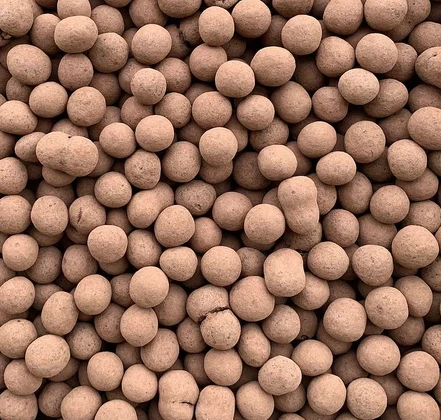 Light Cellar Chocolate Bars Dark Chocolate Covered Hazelnut. 3 Light Cellar Chocolate Bars Dark Chocolate Covered Hazelnut.