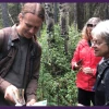 Light Cellar Live Classes & Events First Time Foraging: Beginners Guide To Wild Food