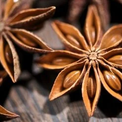 Light Cellar Super Star Anise Hydrosol Hydrosols