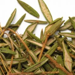 Light Cellar Labrador Tea Hydrosol All Superfoods