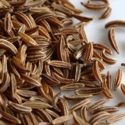 Light Cellar Fennel Seed Hydrosol Hydrosols