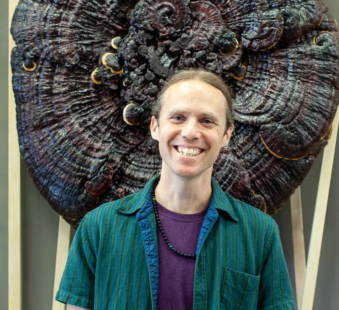 Light Cellar Medicinal Mushroom Symposium 2022: Discover The Healing Powers Of Fungi Online Courses 13 Light Cellar Medicinal Mushroom Symposium 2022: Discover The Healing Powers Of Fungi Online Courses